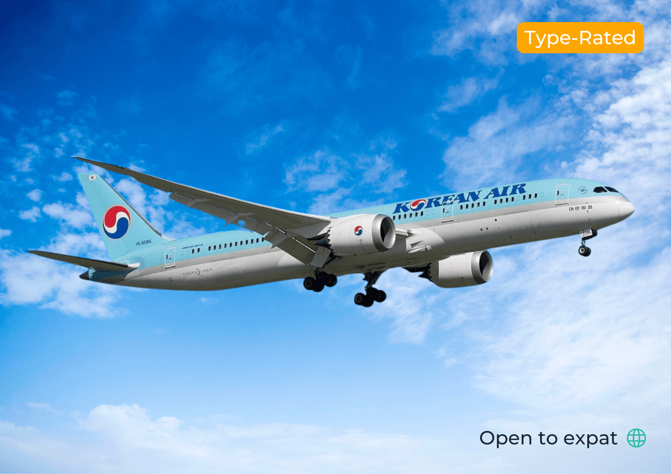 Korean Air B787 aircraft